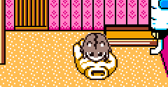Hamster Paradise 3 (JPN) - Hamster Paradise 3 (JPN)