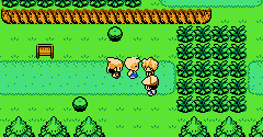 Pokémon Platinum (Bootleg) - Pokémon Platinum (Bootleg)