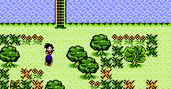 Dragon Ball Adventure (Bootleg) - Dragon Ball Adventure (Bootleg)
