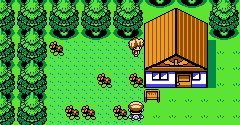 Pokémon Crystal (Bootleg) - Pokémon Crystal (Bootleg)