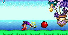 Shantae Advance: Risky Revolution - Shantae Advance: Risky Revolution