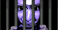 Ao Oni Customs - Ao Oni Customs