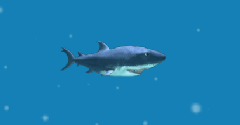 Hungry Shark Trilogy - Hungry Shark Trilogy