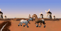 Donkey Xote - Donkey Xote