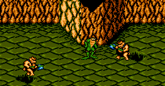 Battletoads - Battletoads