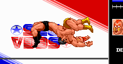 Wrestle War - Wrestle War