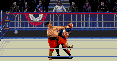 WWF WrestleMania The Arcade Game - WWF WrestleMania The Arcade Game