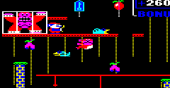 Donkey Kong Jr. (Prototype) - Donkey Kong Jr. (Prototype)