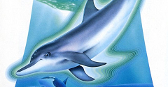 Ecco the Dolphin Customs - Ecco the Dolphin Customs