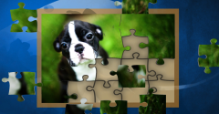 Puppy Dog: Jigsaw Puzzles - Puppy Dog: Jigsaw Puzzles