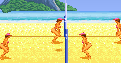 Leisure Suit Larry: Bikini Beach Volley - Leisure Suit Larry: Bikini Beach Volley