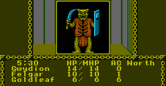 Advanced Dungeons & Dragons: Pool of Radiance - Advanced Dungeons & Dragons: Pool of Radiance