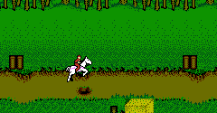 Advanced Dungeons & Dragons: Hillsfar - Advanced Dungeons & Dragons: Hillsfar