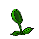 Leftover Early Pult Attack - Plants vs. Zombies