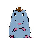 Stupid Rat (Cowboy Hat) - Pizza Tower