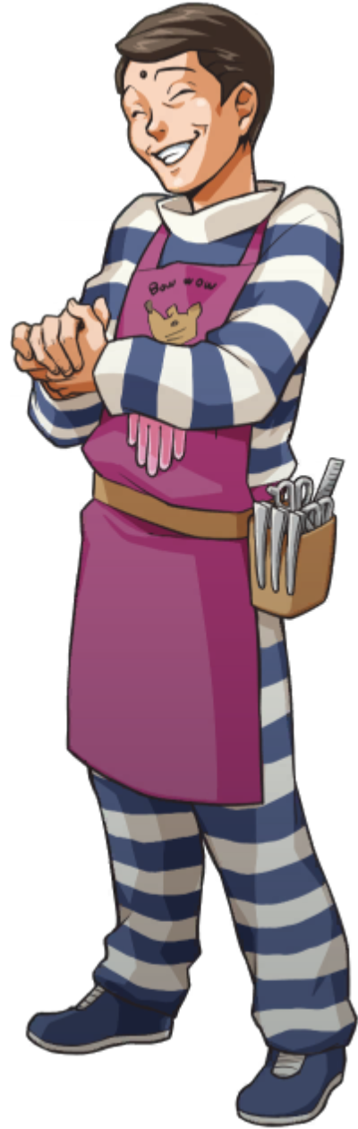 Standing - Ace Attorney Investigations Collection