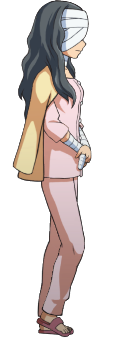 Walking (Right) - Ace Attorney Investigations Collection