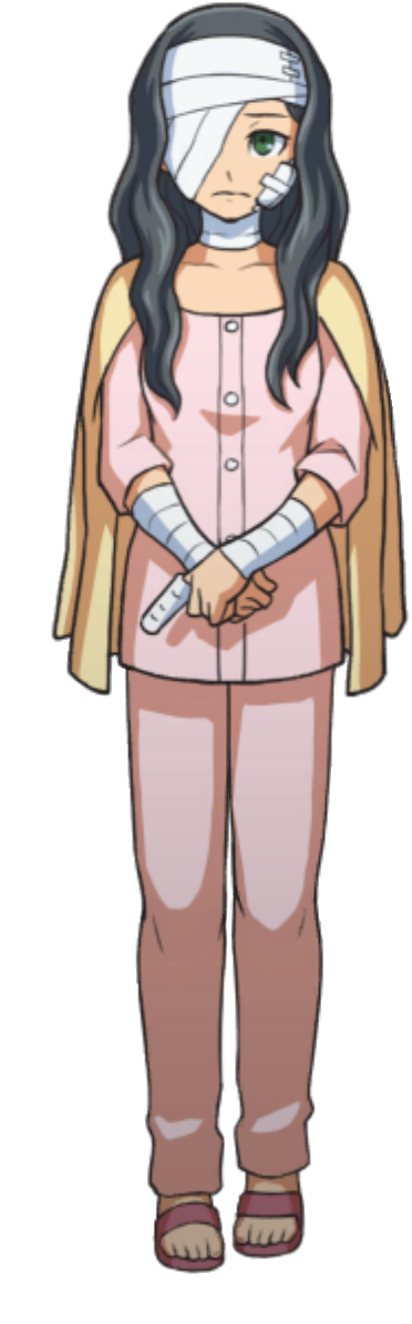 Walking (Down) - Ace Attorney Investigations Collection