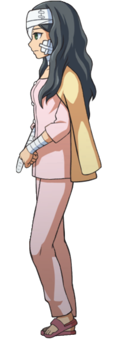 Walking (Left) - Ace Attorney Investigations Collection