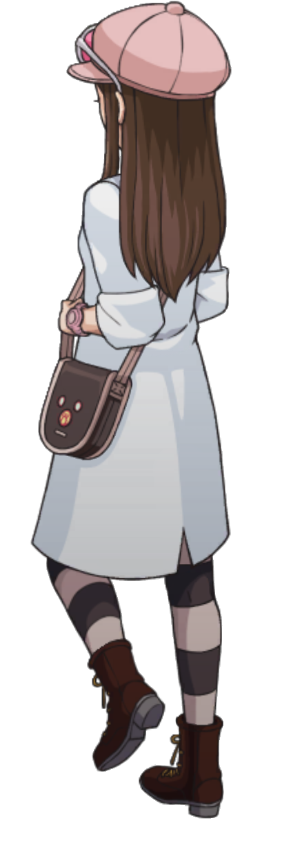 Walking (Northwest) - Ace Attorney Investigations Collection