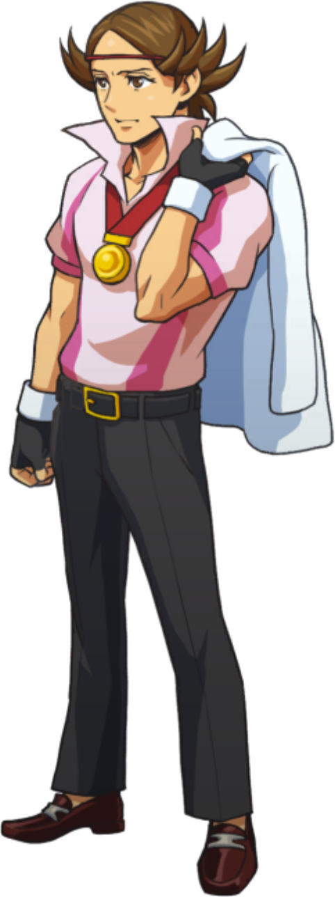 Looking Back Over the Shoulder - Ace Attorney Investigations Collection