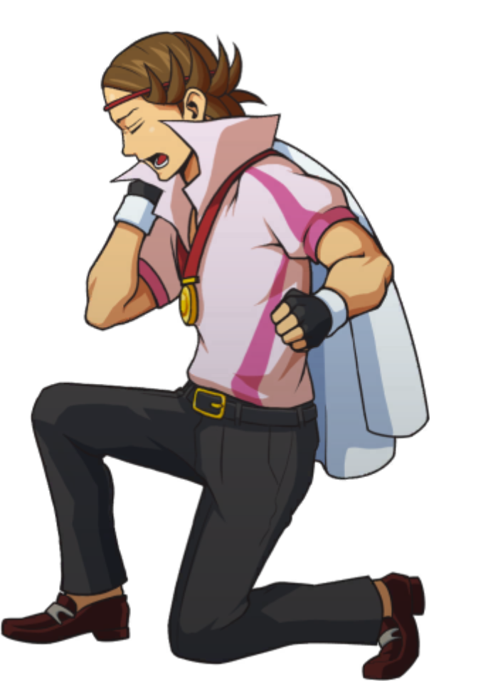 Crouching / Dismissive - Ace Attorney Investigations Collection