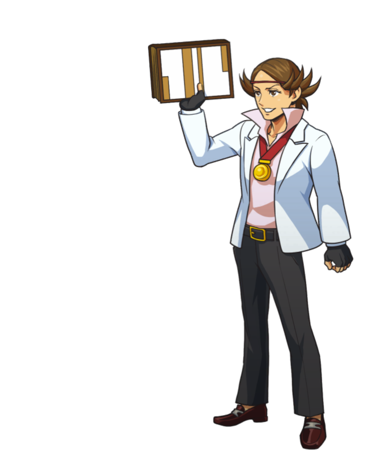 Throwing Book - Ace Attorney Investigations Collection