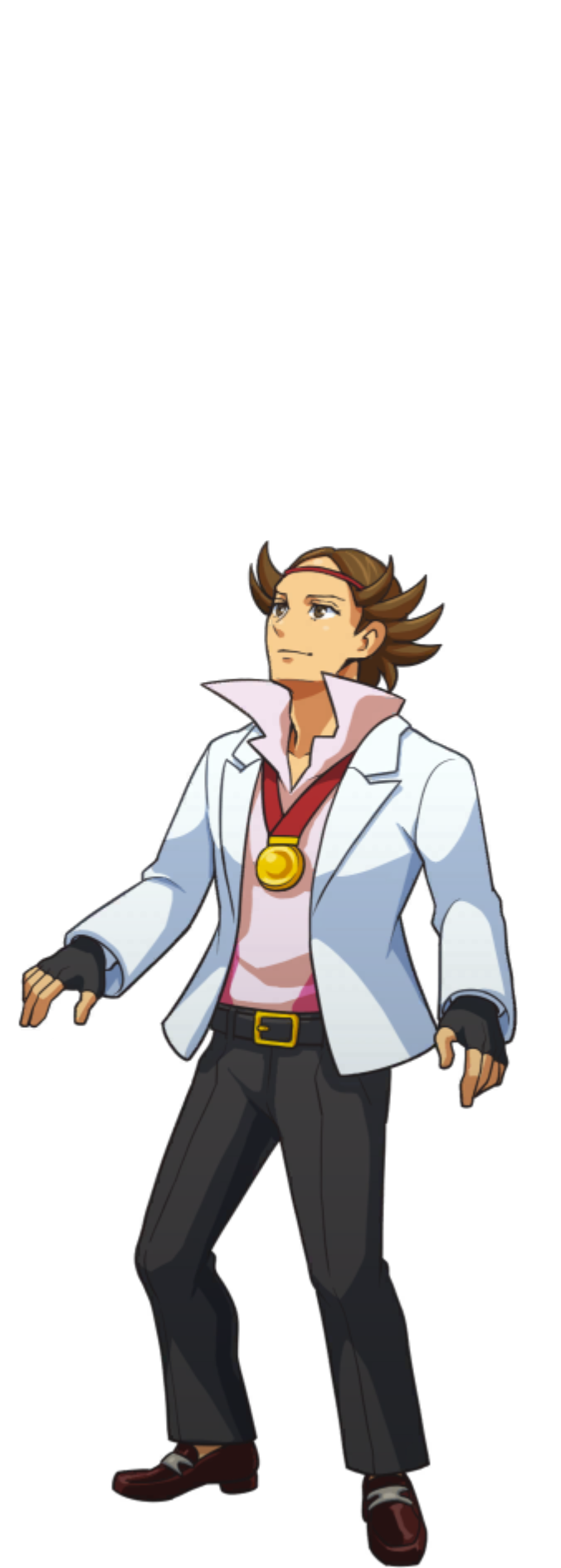 Catching Book - Ace Attorney Investigations Collection