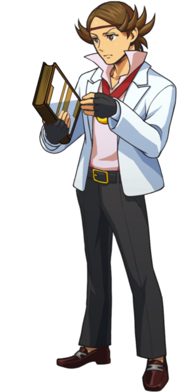 Flipping Through / Reading Book - Ace Attorney Investigations Collection