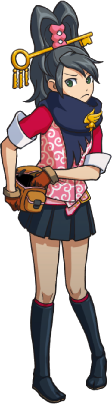 Checking Bag - Ace Attorney Investigations Collection