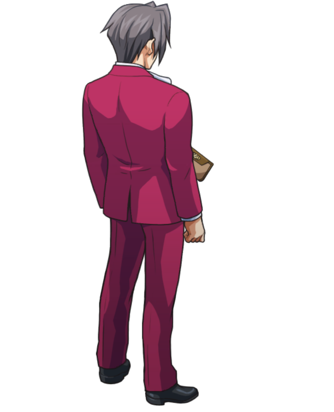 Interacting with Travel Wallet (1) - Ace Attorney Investigations Collection