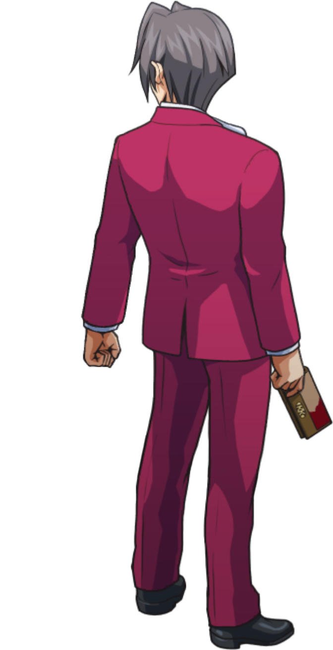 Interacting with Travel Wallet (3) - Ace Attorney Investigations Collection