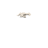 Death Skull Crack - Chasm