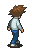 Walking (north-east) - Mega Man Battle Network 5