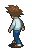 Walking (north-west) - Mega Man Battle Network 5