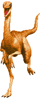 Run Diagonal - Jurassic Park