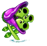 Plant Food - Loop - Plants vs. Zombies 2