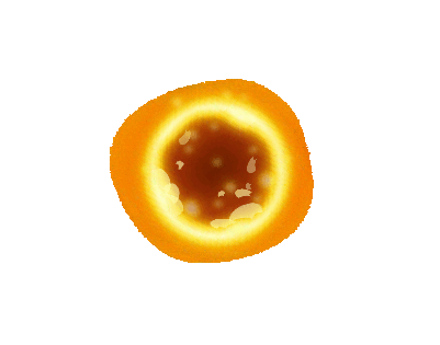 Projectile - Solar Honeysuckle - Plants vs. Zombies 2