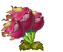 Plant Food - End - Plants vs. Zombies 2