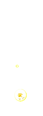 Projectile - Hit (Chinese Only) - Plants vs. Zombies 2