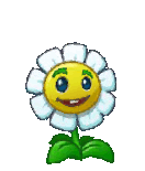 Coin Produce - Unused - Plants vs. Zombies 2