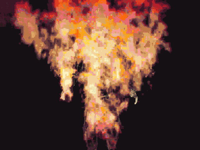 Jumpscare - Capture the Intelligence