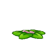 Costumed Plant Food - Loop - End - Plants vs. Zombies 2