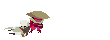 Drag Otter - Hyper Light Drifter