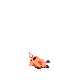Pig Till Soil - Atomicrops