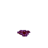 Pop Up - Atomicrops