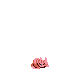 Wiggle Ear - Atomicrops