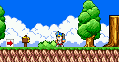 Wonder Boy in Monster World