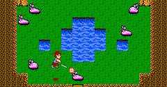 StarTropics