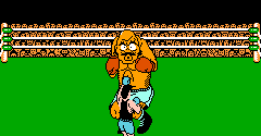 Punch-Out!! / Mike Tyson's Punch-Out!!